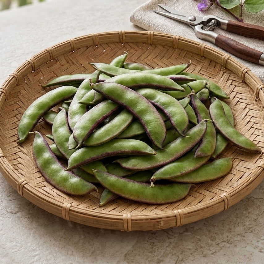 Fresh Sheem-Lal sheem (Flat Beans)