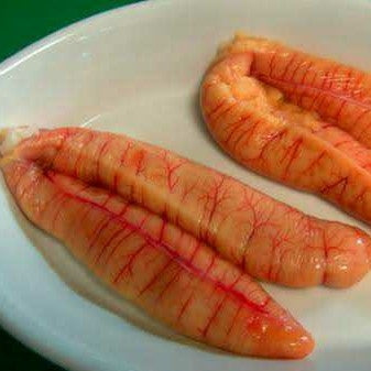 Rui Fish Egg (Block) - 250gm