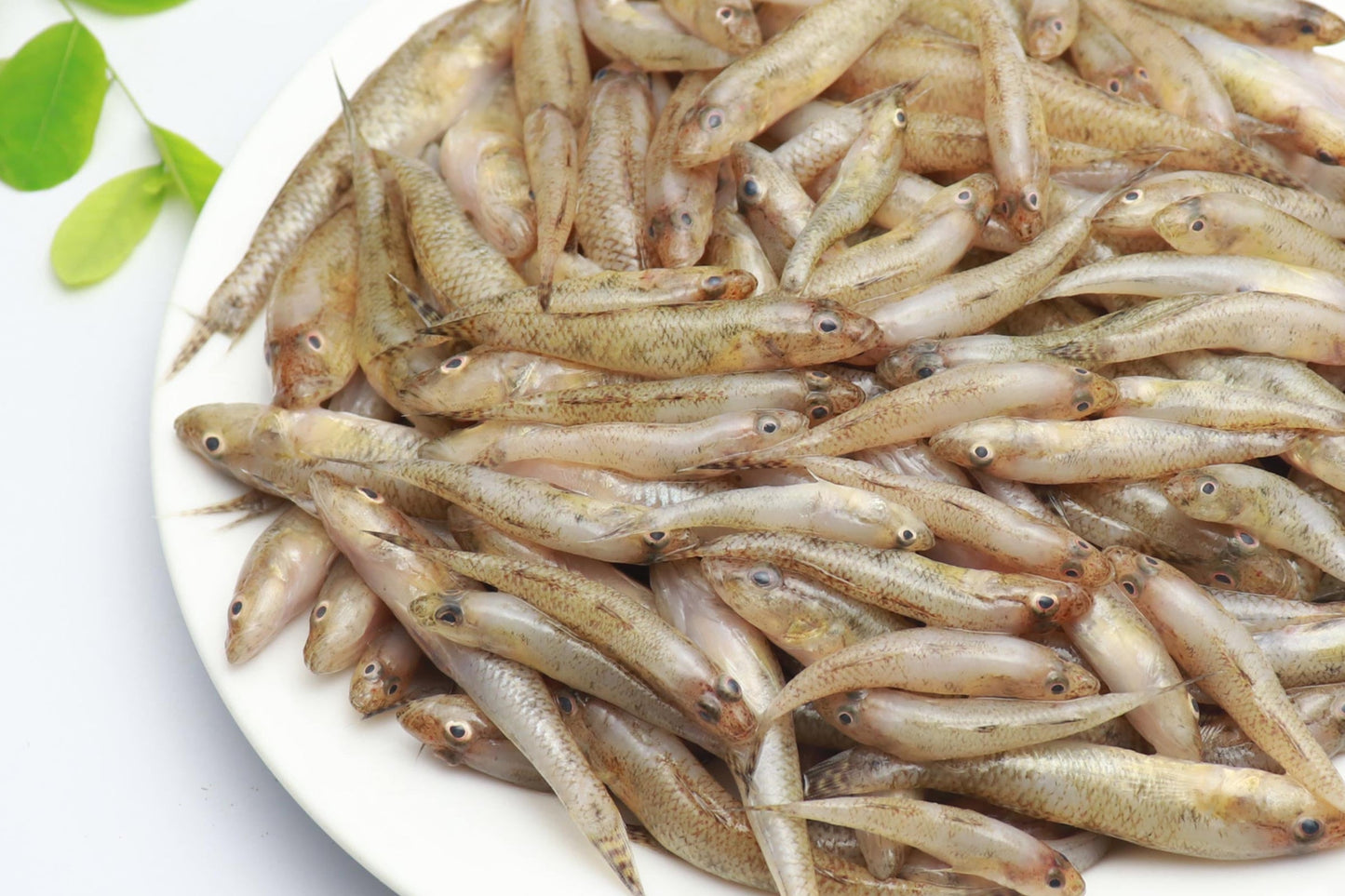 Gura Baila-250 gm -NYC