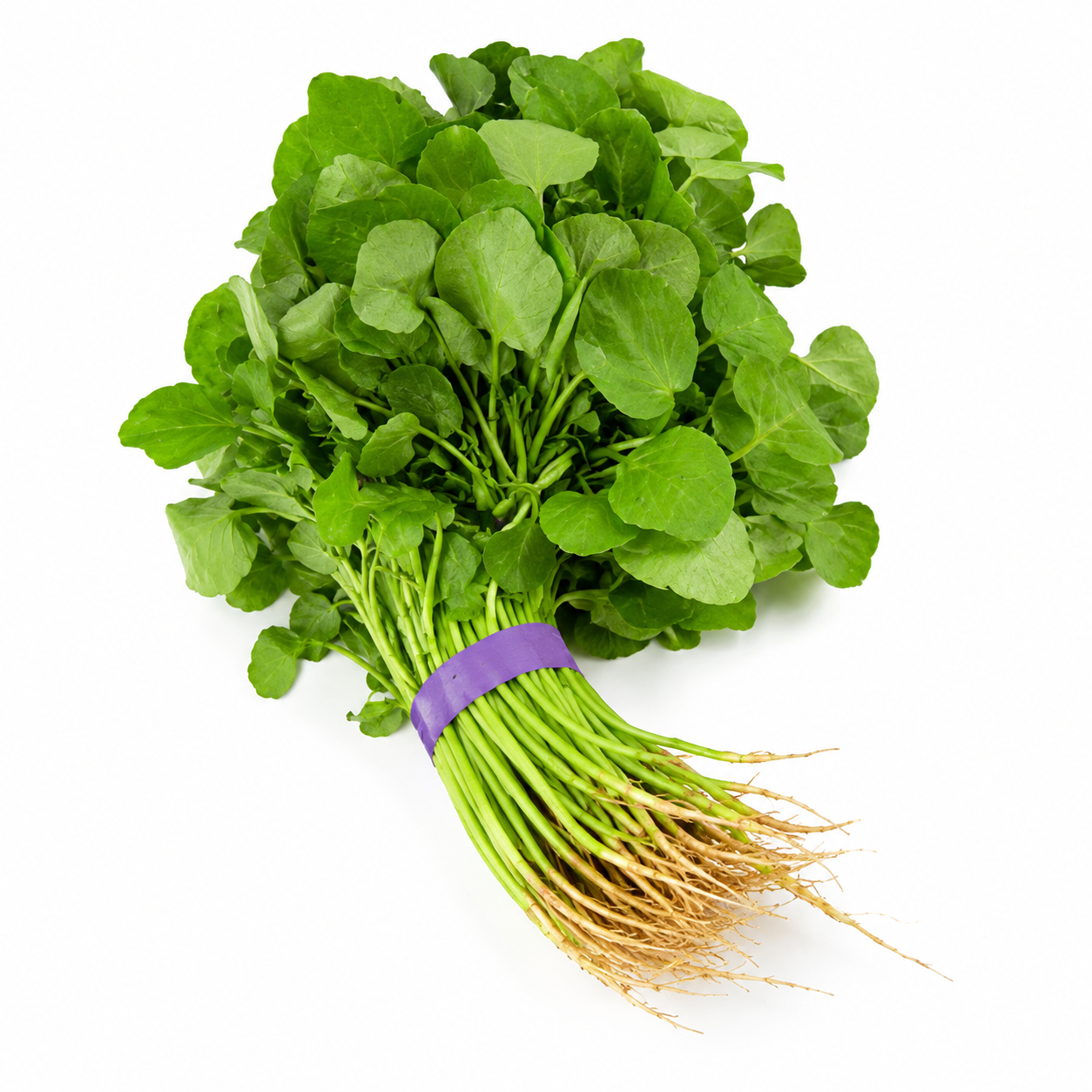 Fresh Data Shak (Watercress/ Amaranth)- 1 lb