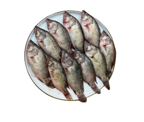 Meni Fish ( মেনি মাছ) Block - 500gm -NYC