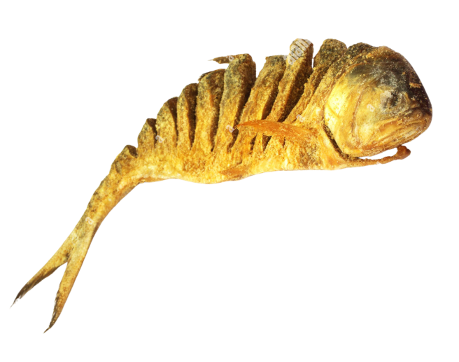 Nona Ilish – Salted Hilsa Fish 300/700 gm