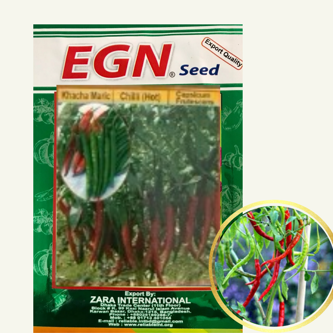 Chilli Seed (মরিচের বীজ)