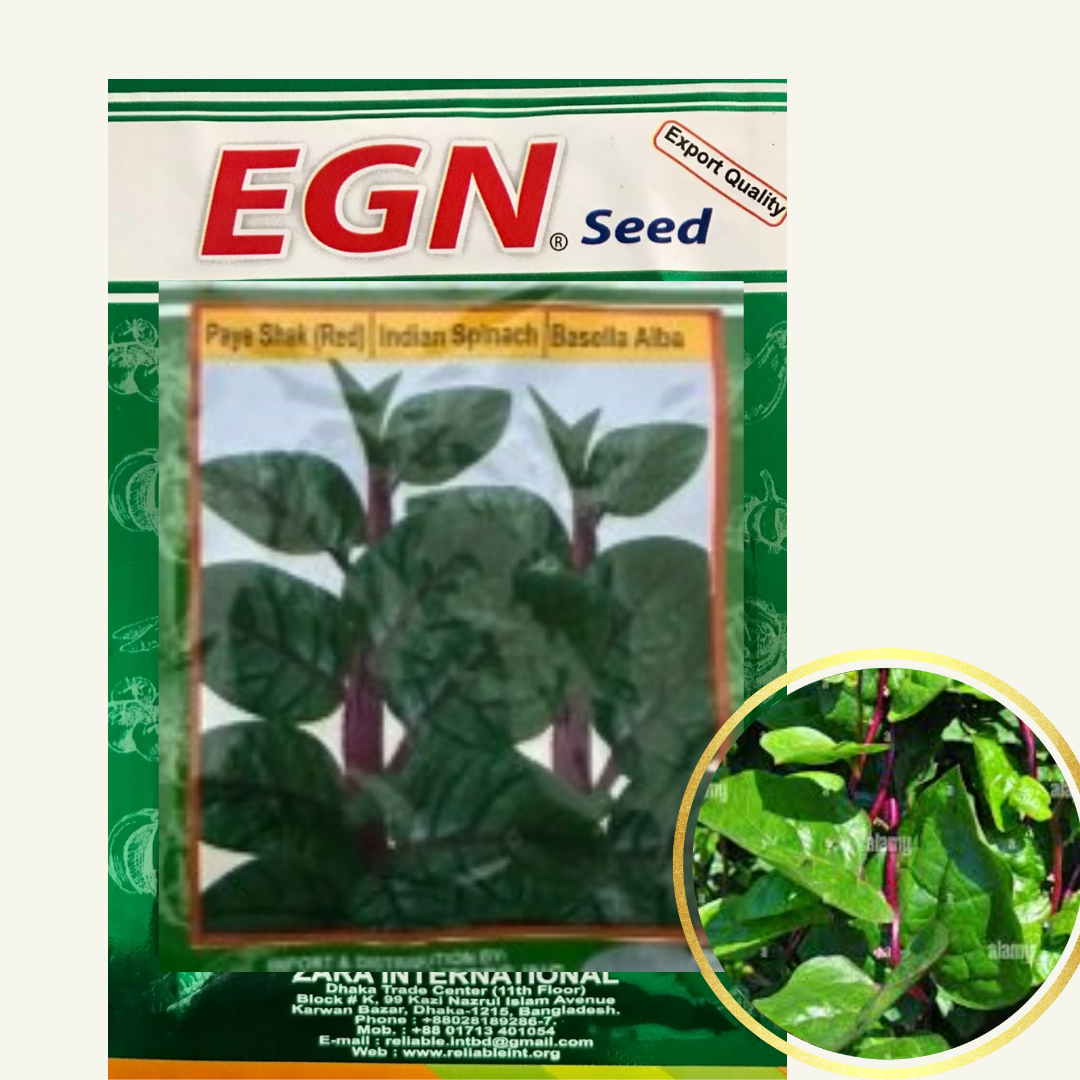 Indian Spinach Seed (লাল পুঁইশাক বীজ)