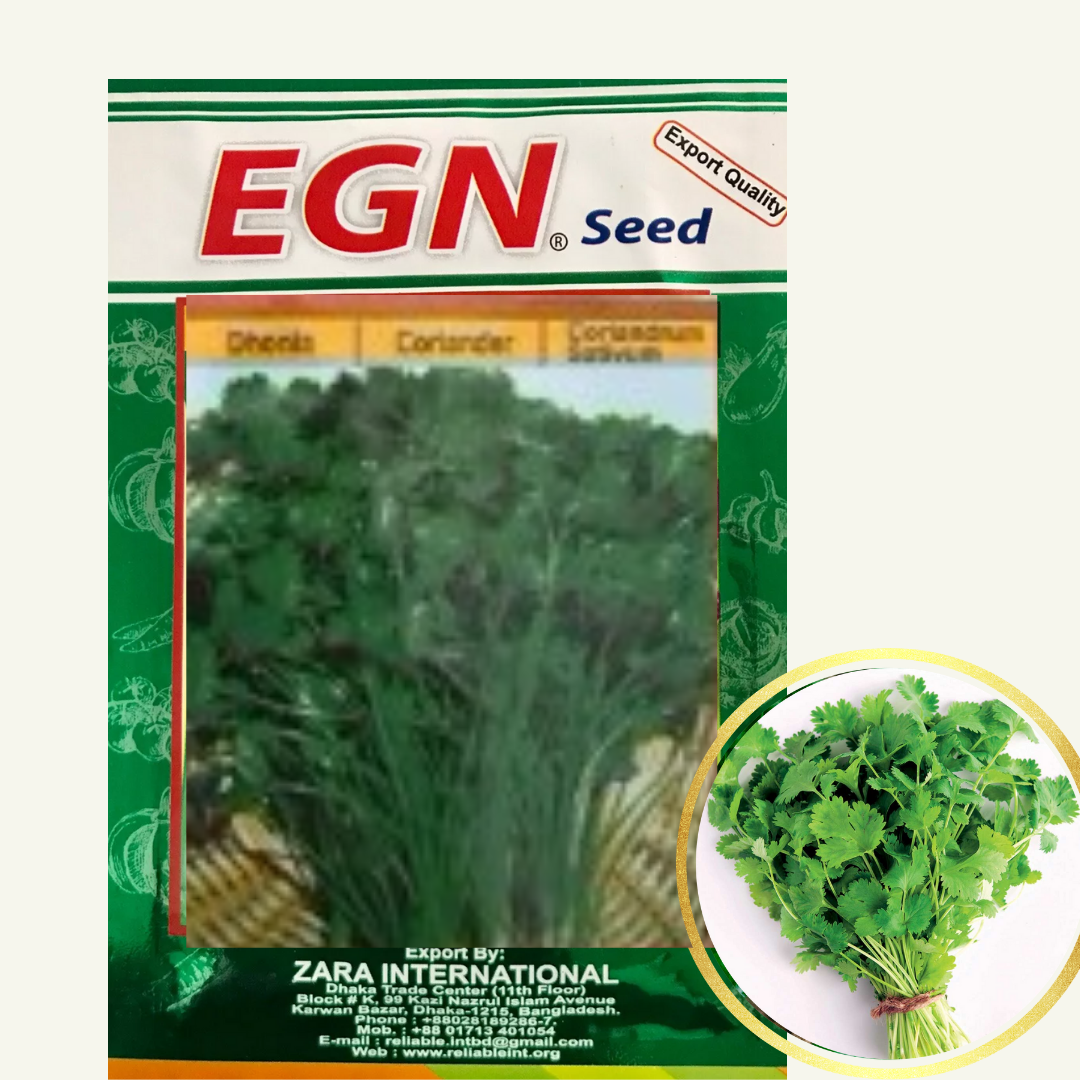 Coriander ( ধনিয়া বীজ)