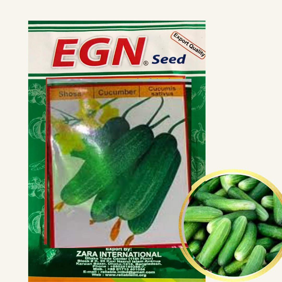 Cucumber Seed (শশা বীজ)