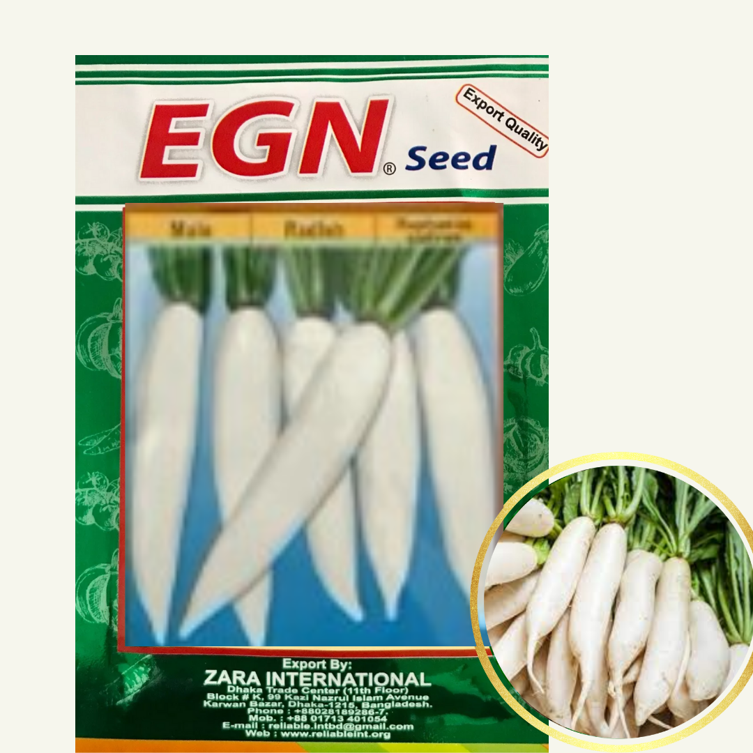 Radish Seed (মূলা বীজ)