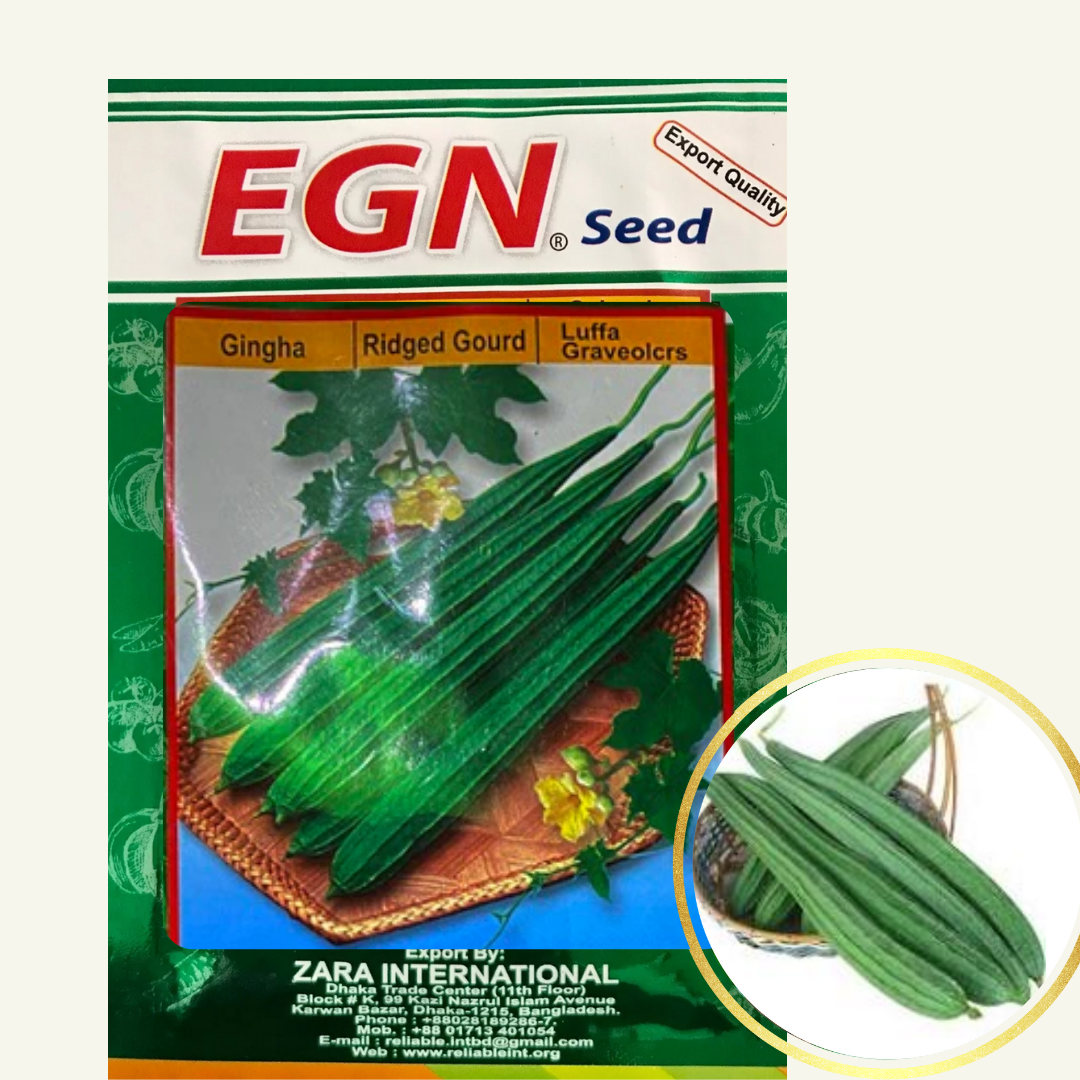 Ridged Gourd Seed (ঝিংগা বীজ)