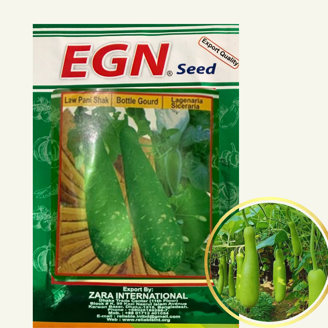 Bottle Gourd Seed (লম্বা লাউ বীজ)