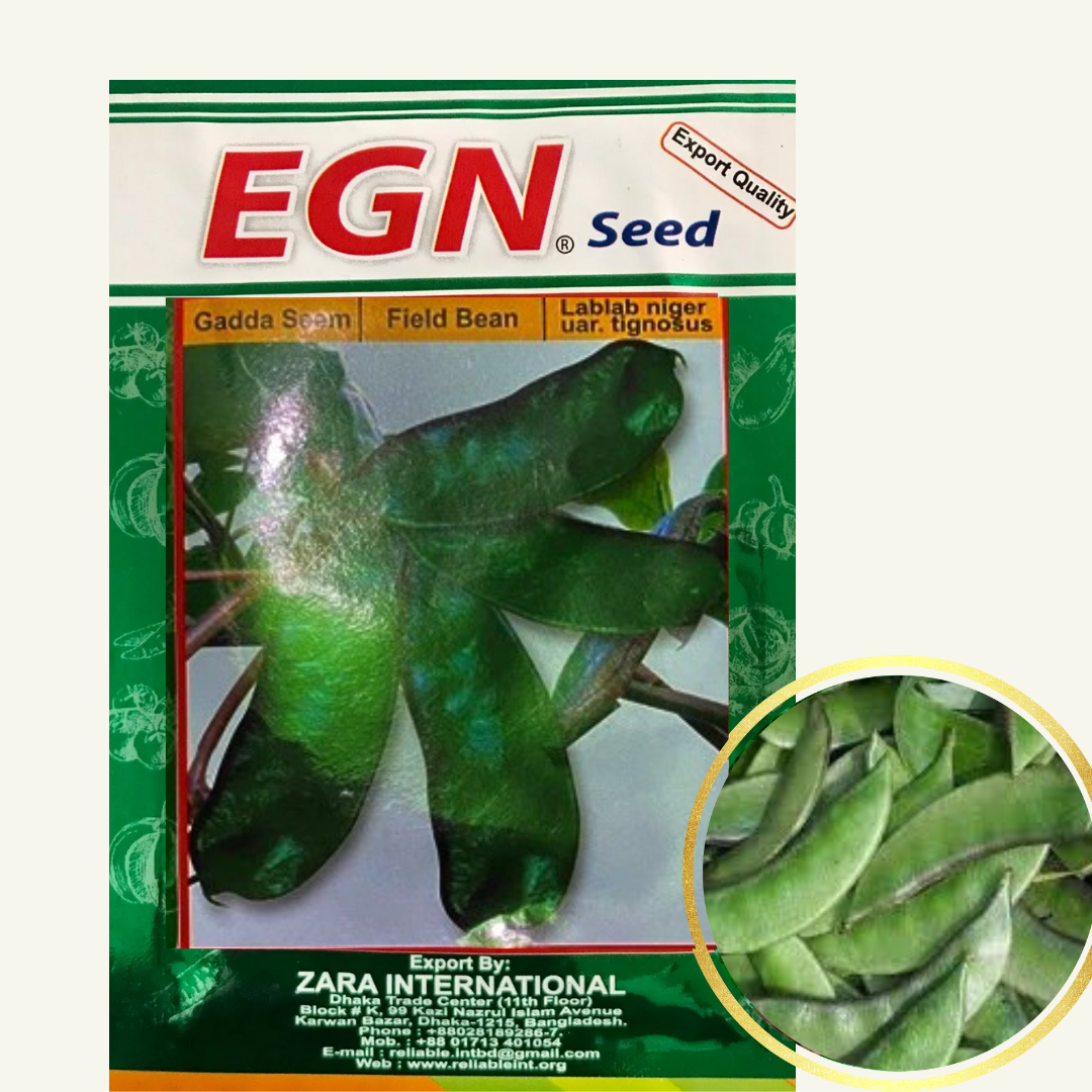 Field Bean Seed (শিম বীজ)