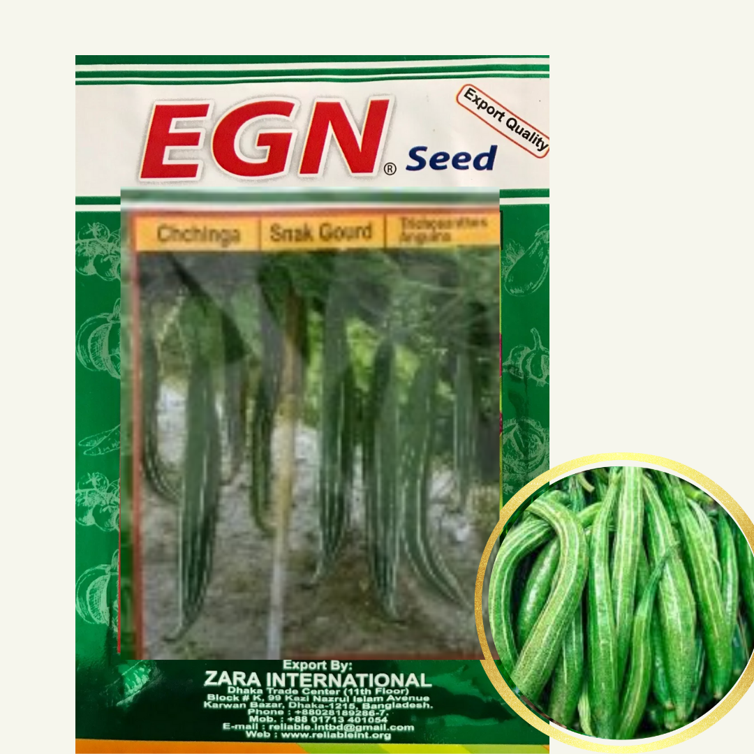 Snak Gourd Seed (চিচিংগা বীজ)