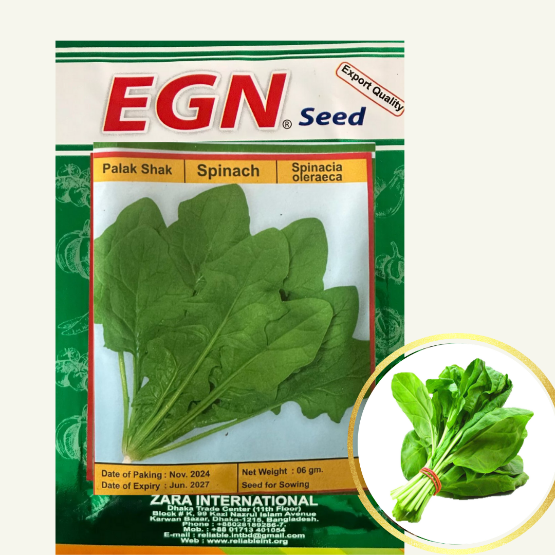 Bangladeshi Spinach seeds (পালং শাকের বীজ)