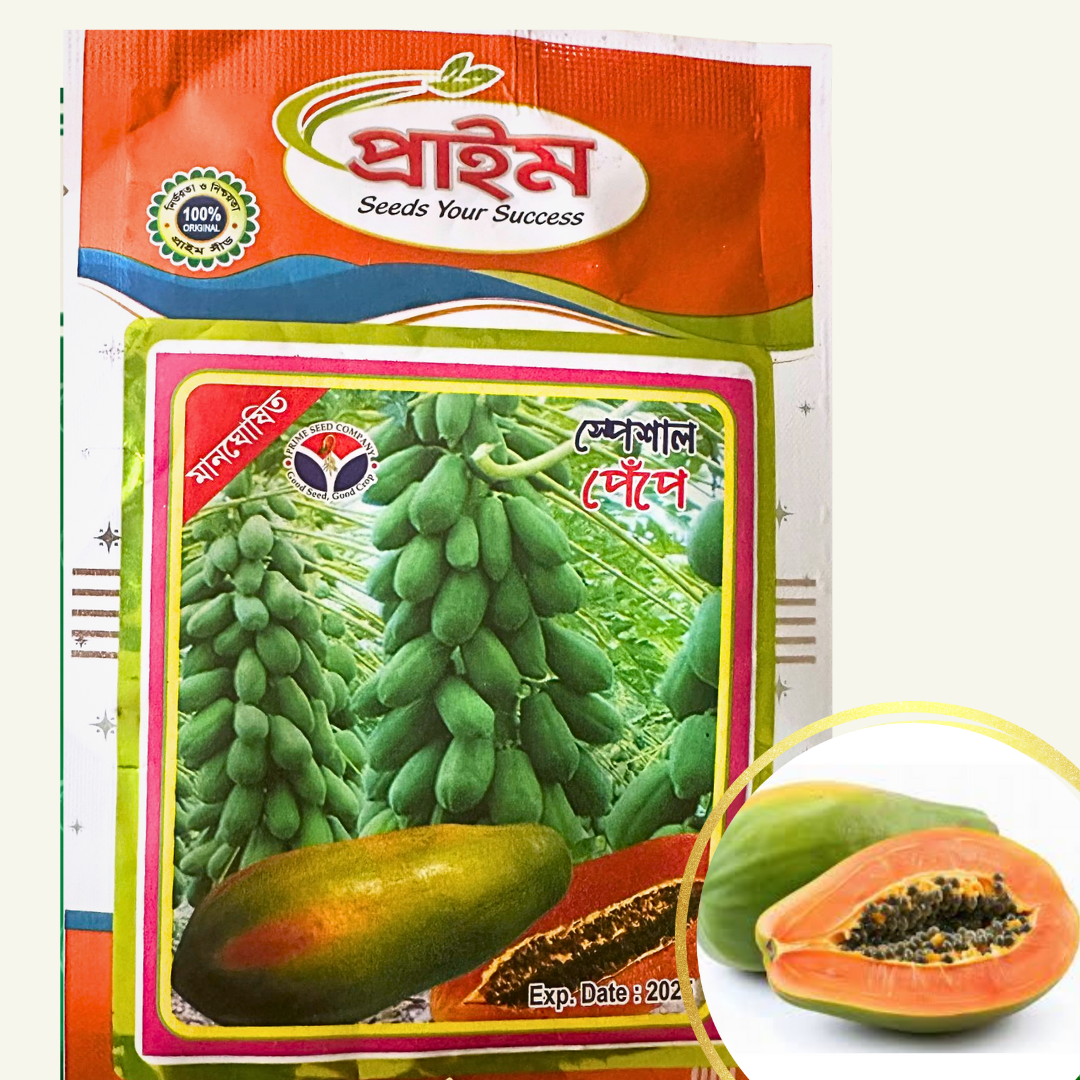 Papaya seed (পেঁপের বীজ)