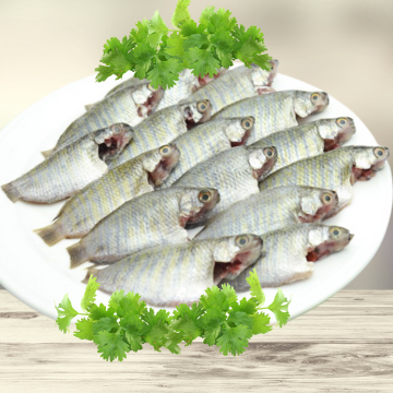 Kholisha Block -400gm -NYC