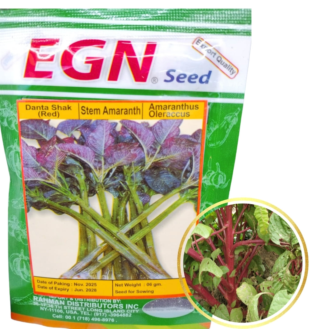 Danta Shak (Red) Seeds-(লাল ডাঁটা শাক বীজ)