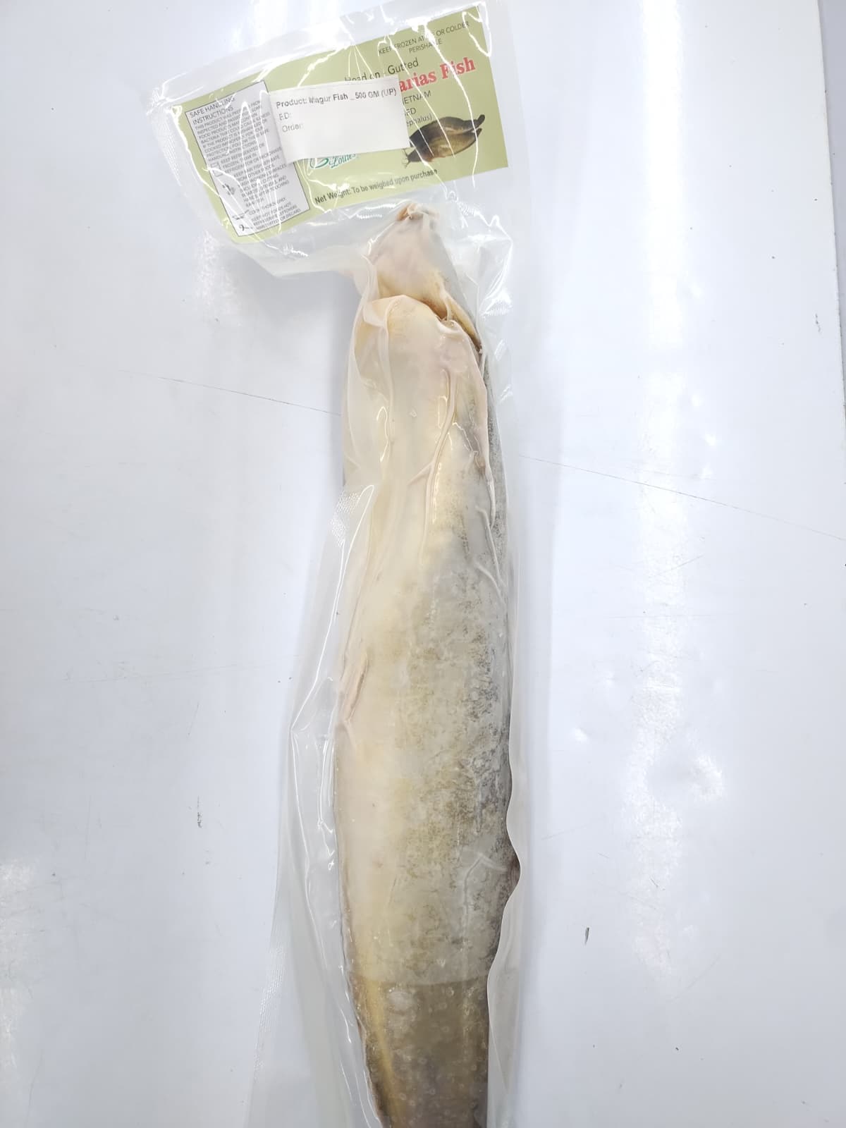 Magur Fish -500 gm up(1 Pc)
