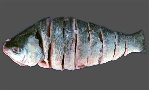 Rohu (Rui) Fish - 4 kg