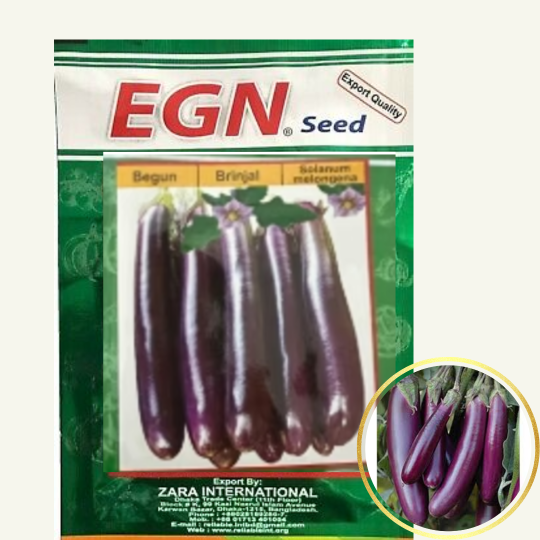 Begun / Brinjal Seed (লম্বা বেগুন বীজ)