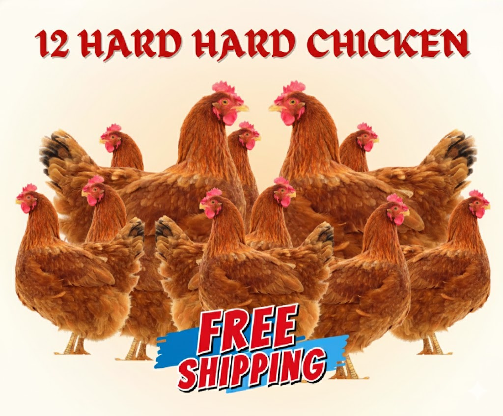 12 Hard Chicken