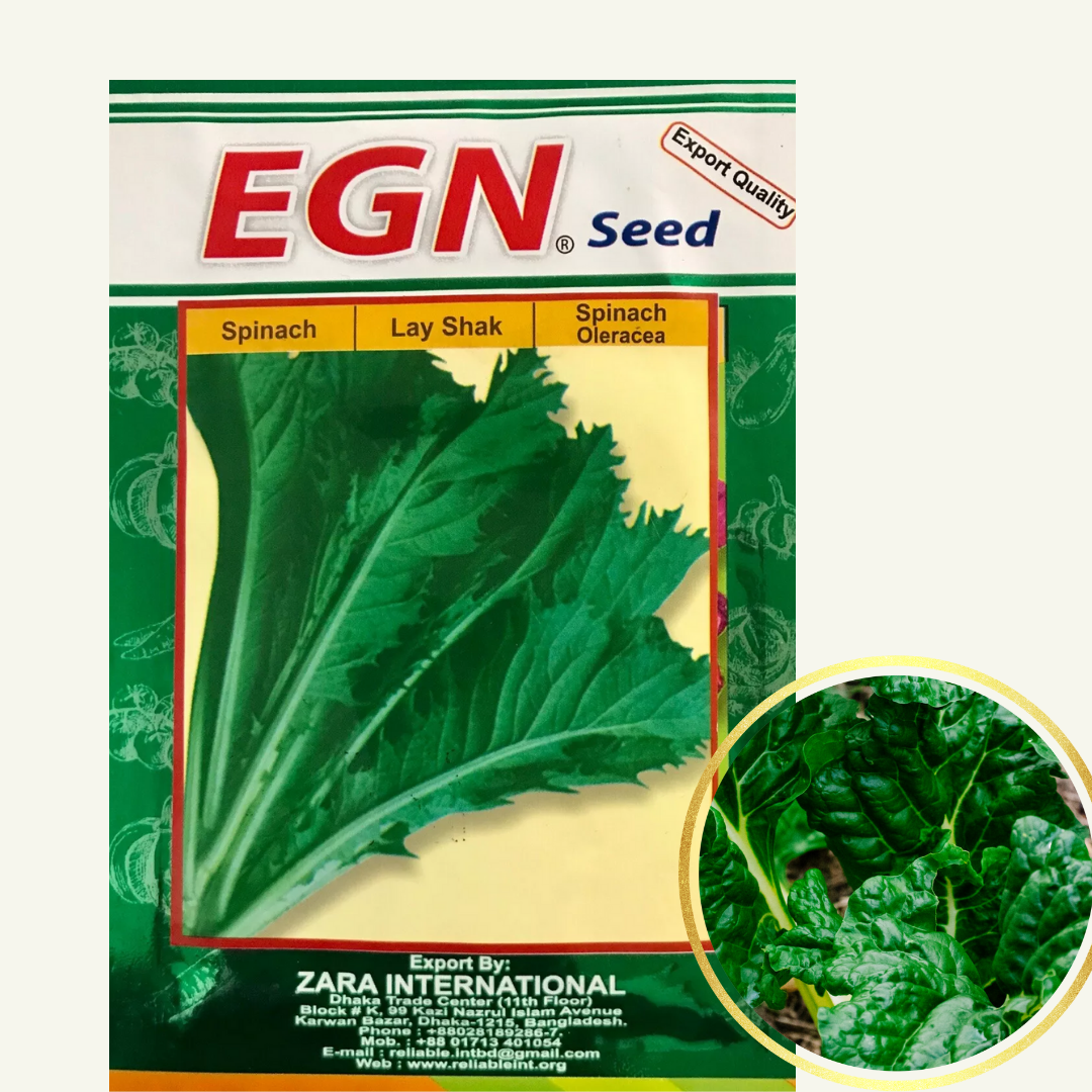 Spinach Seed (পালং শাক বীজ)