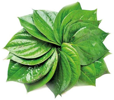 Paan (Betel Leaf)-NYC