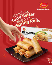 Pran Spring Roll 400gm-10pc-NYC