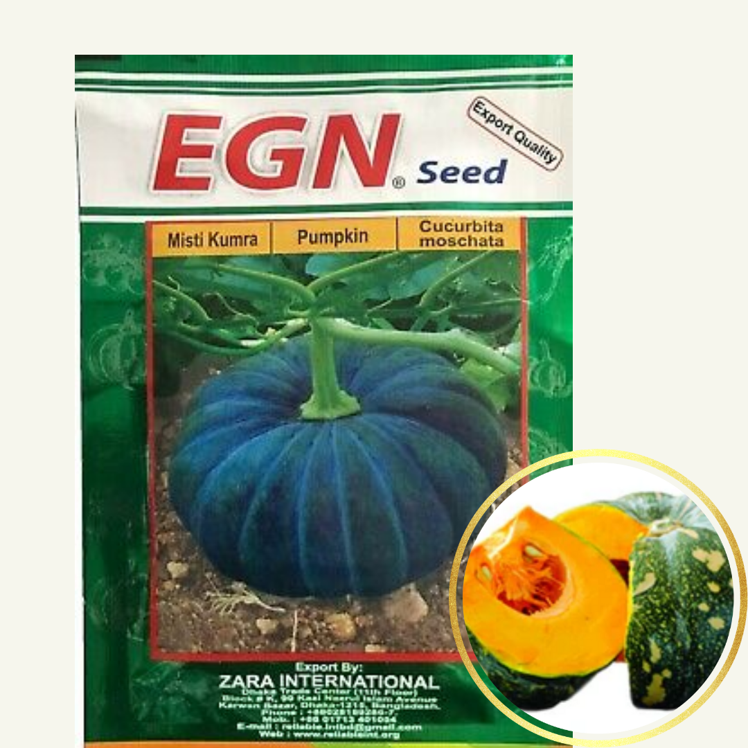 Pumpkin Seed (মিষ্টি কুমড়া বীজ)