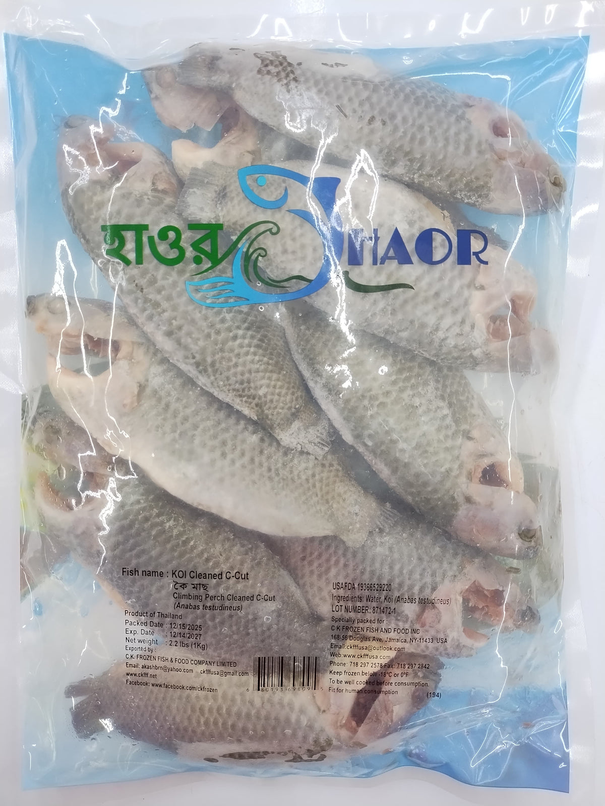 Koi fish (loose) (Climbing Perch)-Haor Brand- 2.2 lb