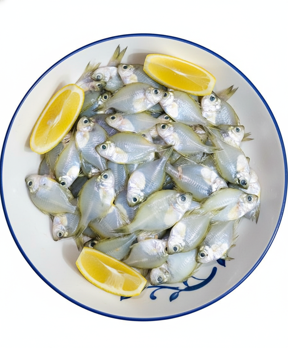 Chanda (block) - 400 gm -NYC