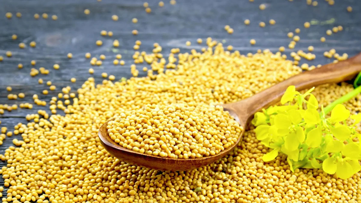 Yellow Mustard Seed - 200 gm