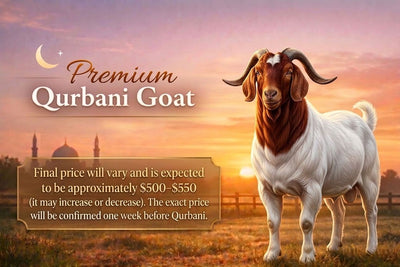 Quarbani  Special Goat-Around 40 lb