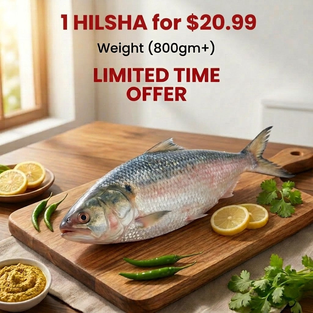 1 Hilsha for $20.99– Hilsha (Ilish) Fish (1 pc)-800gm+-NYC