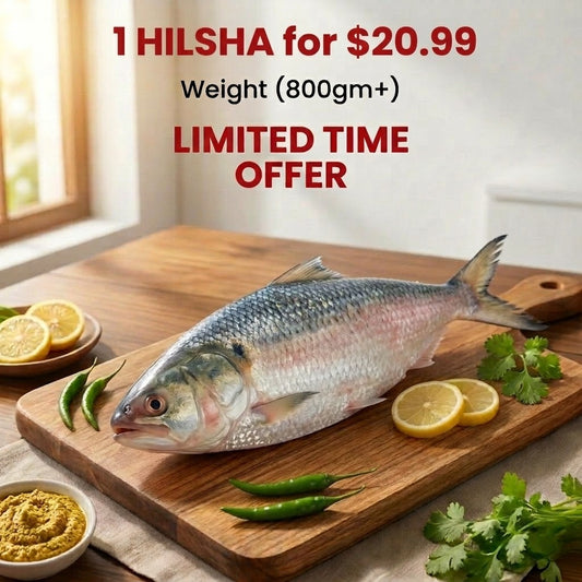 1 Hilsha for $20.99– Hilsha (Ilish) Fish (1 pc)-800gm+-NYC