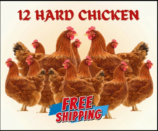 12 Hard Chicken