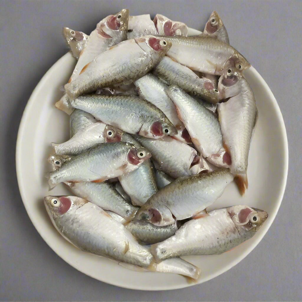 Desi Puti (Medium) -400gm -NYC