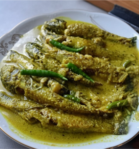 Baila Curry