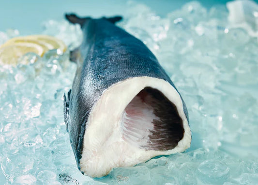 Black Cod