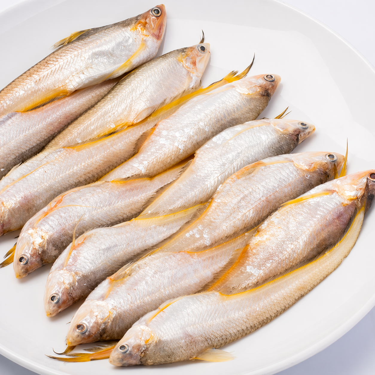 Chinese Pabda (Longtail Anchovies)- 1 lb-NYC