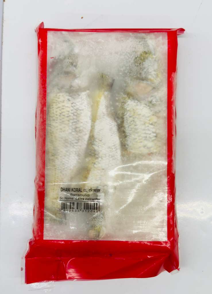 Dhani Koral (Bhetki)(Block)-500gm