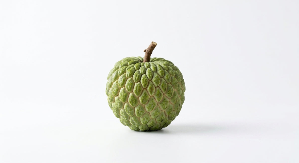 A single green custard apple with a textured, bumpy skin and a short brown stem, photographed on a clean white background.