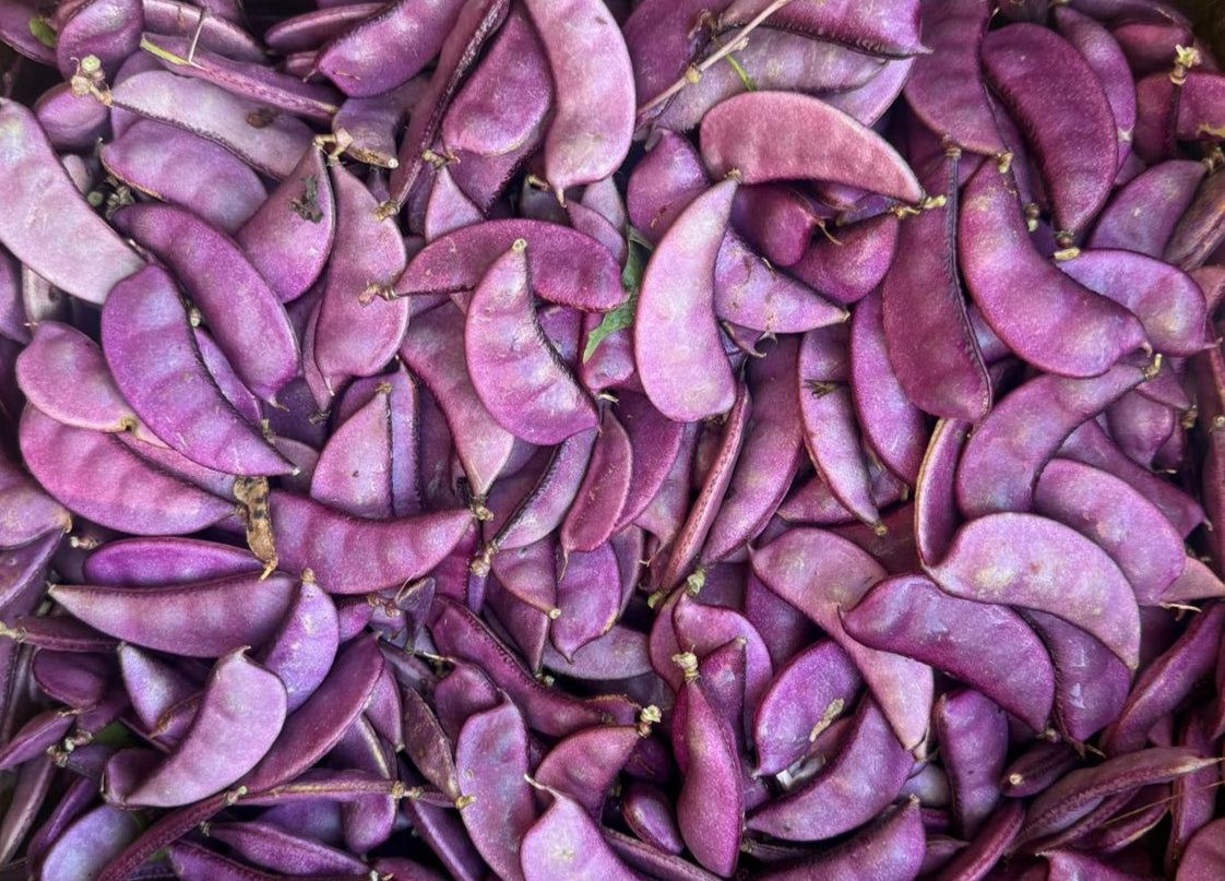 Fresh Purple Sheem