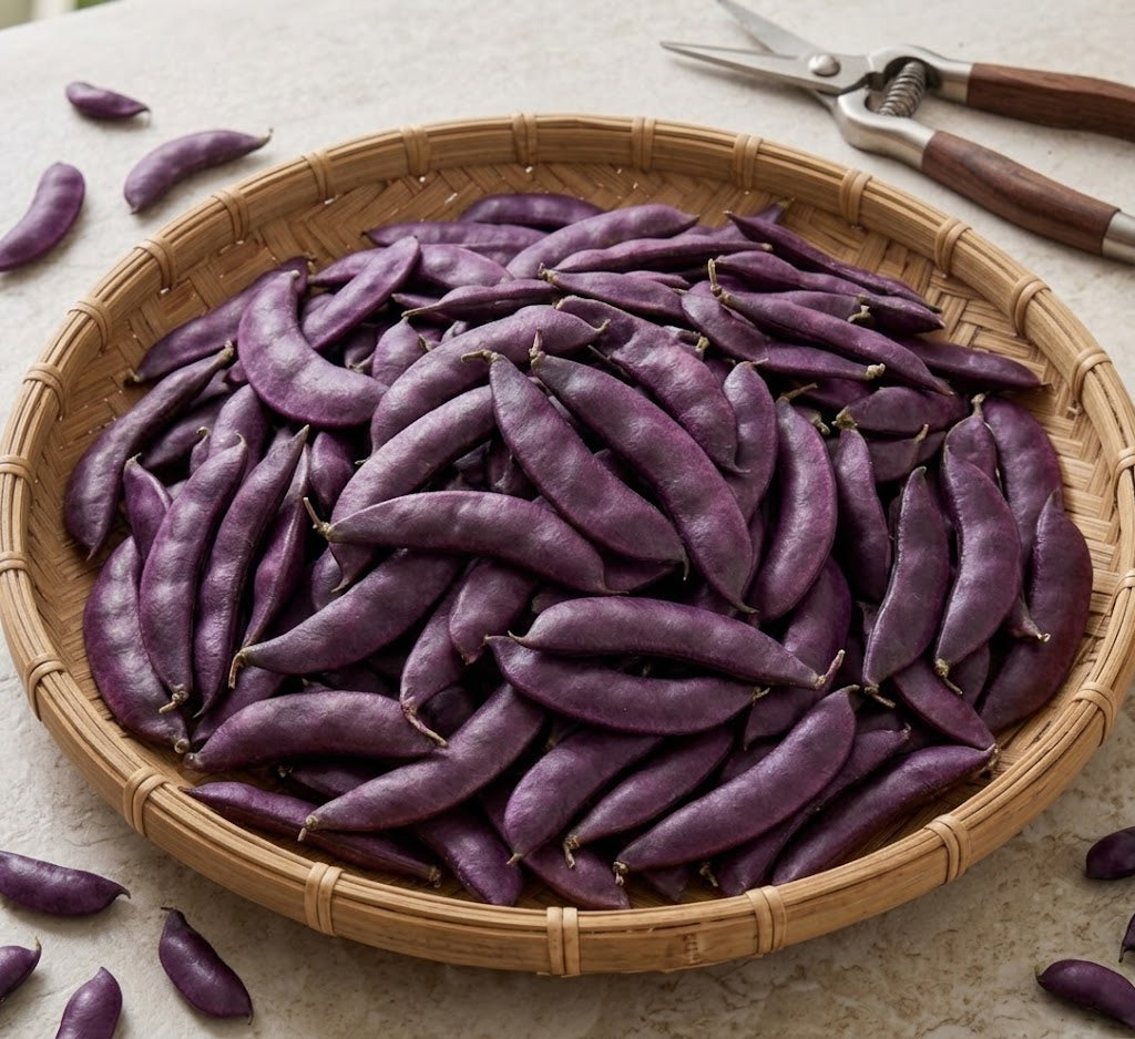 Fresh Sheem-Lal sheem (Flat Beans)