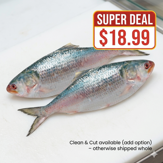 Hilsha (Ilish) Fish – 2 Pieces (500–800g each) 🔥 Super Deal: Only $18.99 🔥