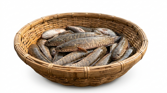 Shahjalal Bangladeshi Taki Fish (Block)-500gm