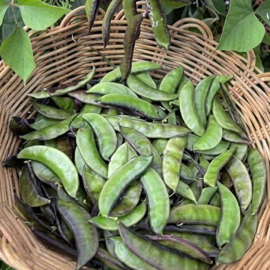 Fresh Sheem (Flat Beans) – 1 lb