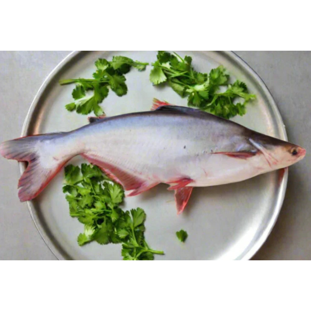 Whole pangash (Pangasius) Fish 4.9-5.2 lb