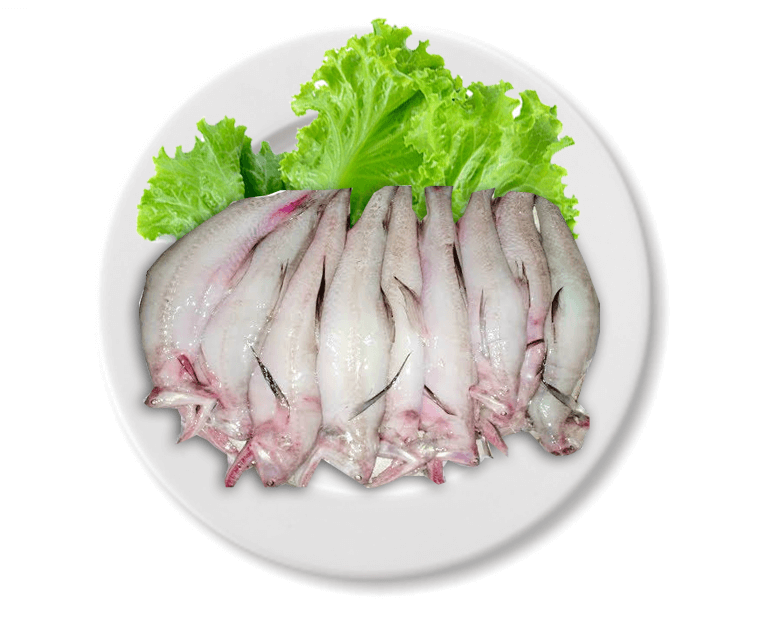 Raw loitta on a white plate with green lettuce leaves