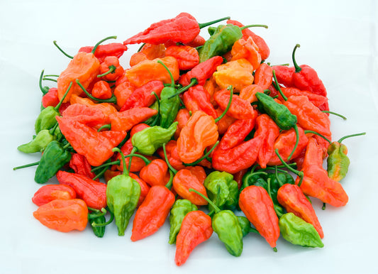 Naga Chili (নাগা মরিচ)- 5 pieces