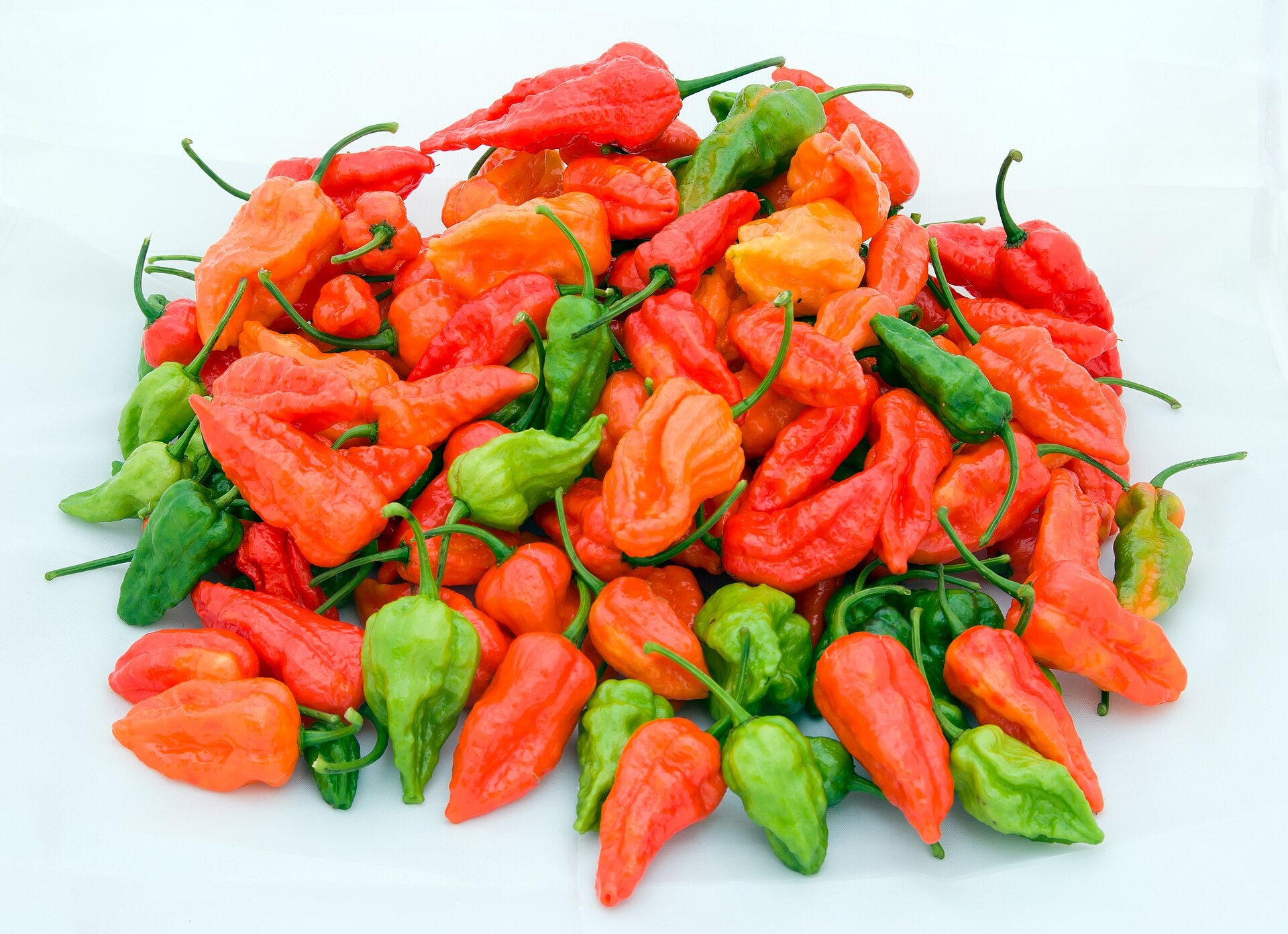 A pile of colorful hot peppers, including bright red, orange, and green varieties with stems, arranged on a plain white background.