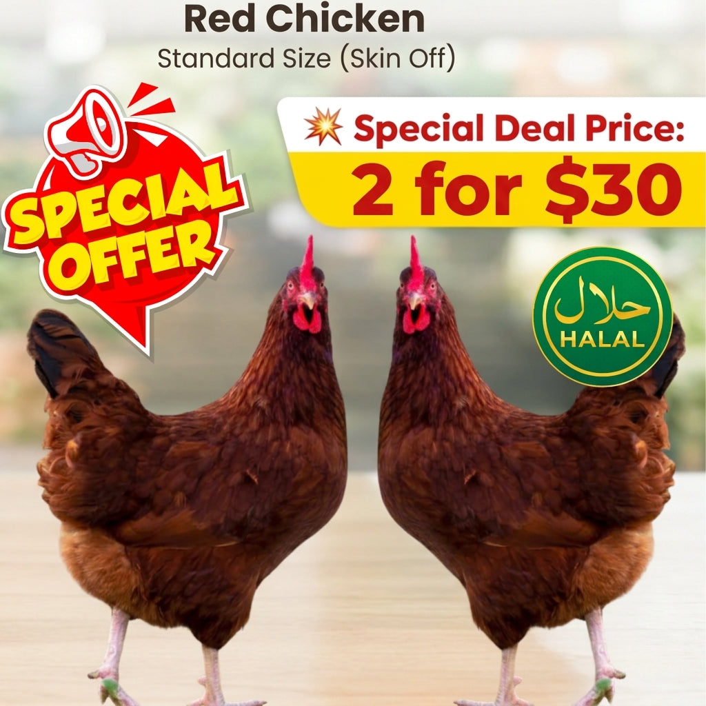 Two brown red chicken hens standing side by side, with promotional text overlays including 'Red Chicken Standard Size (Skin Off)', 'Special Deal Price: 2 for $30', a red 'SPECIAL OFFER' badge, and a green 'HALAL' seal.